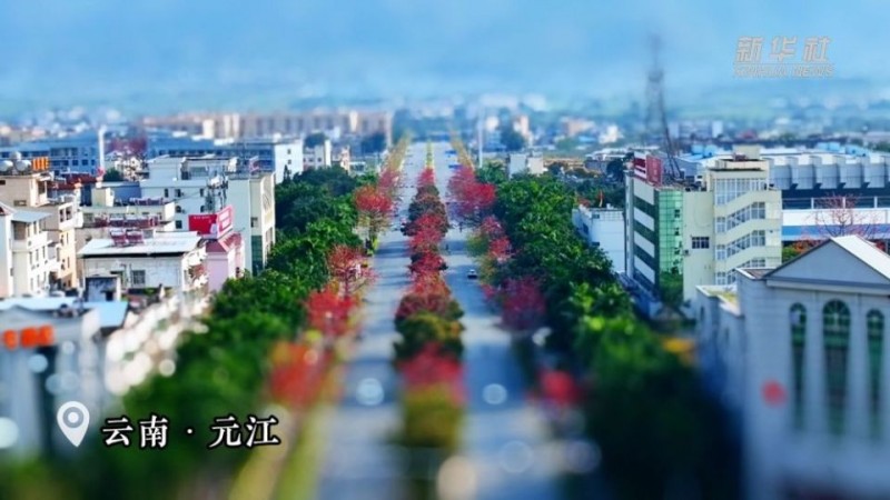 移轴带你看春天｜赏春花、趣春游，在山间田野赴一场春日之约！
