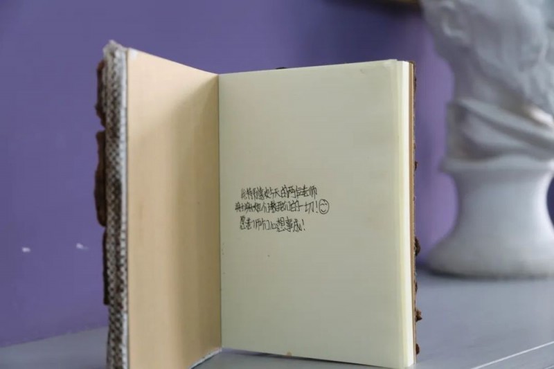 美林美育｜枯木新生  瞬息永恒  “美林美育进校园”走进韩美林希望小学