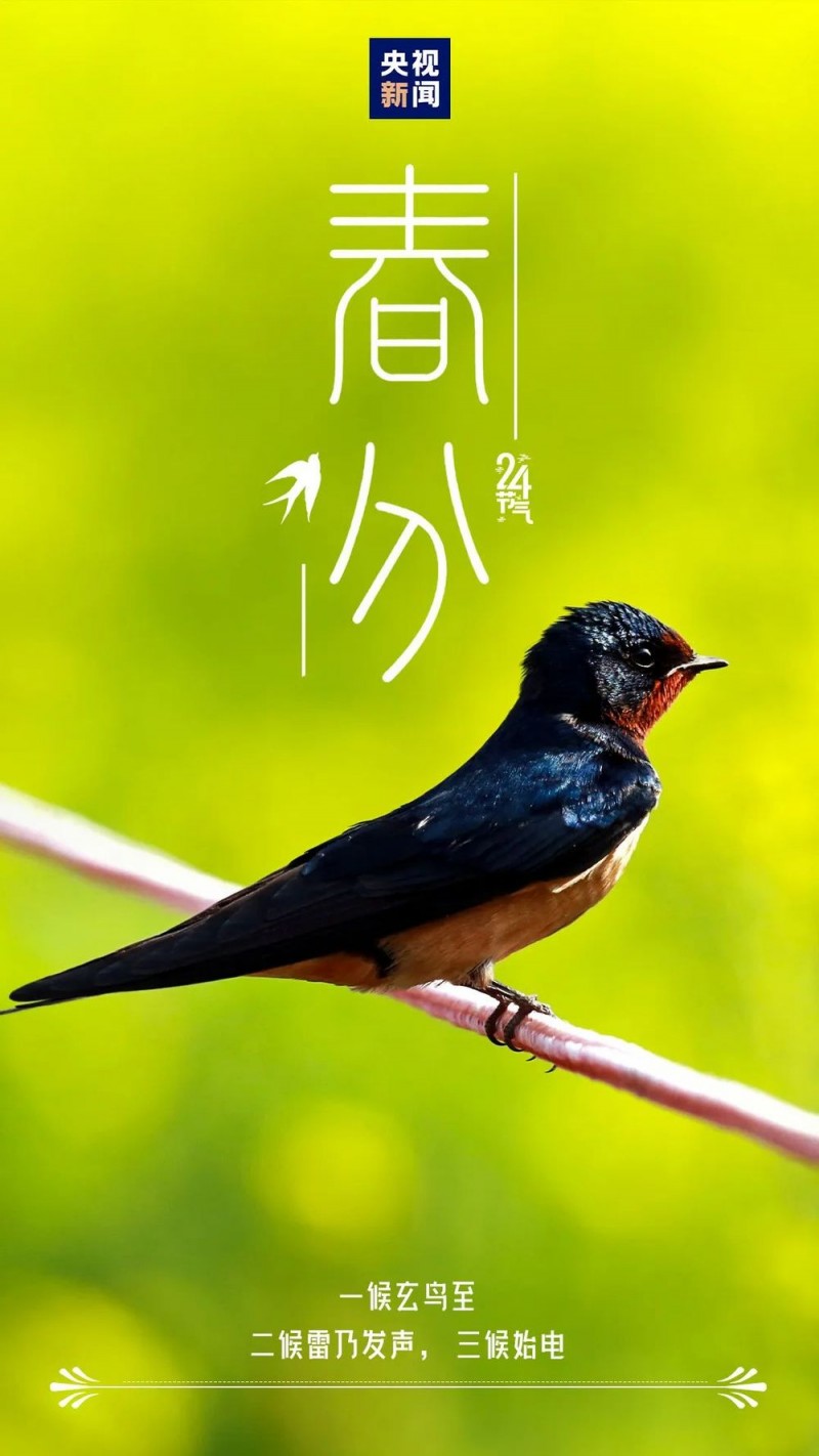 今日，春分