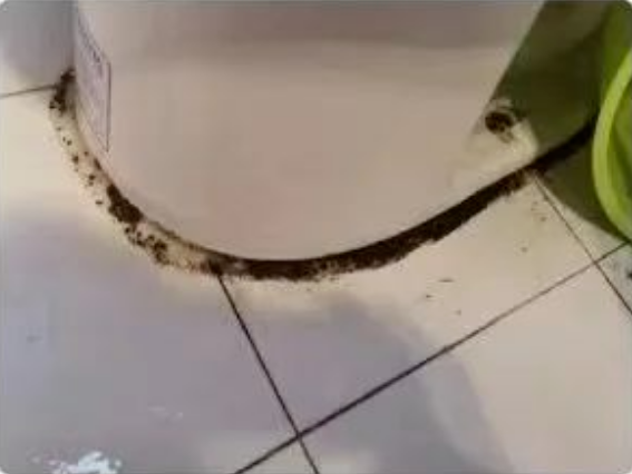 确诊1例！毒性是砒霜的68倍！千万警惕……