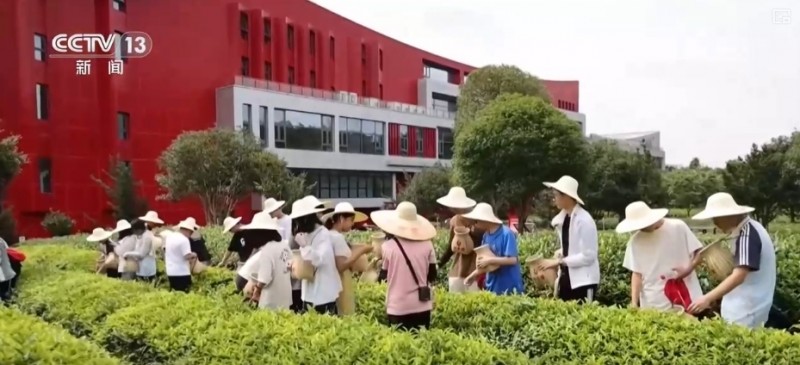 “冰雪+”“茶旅+”邂逅春日经济 创新玩法释放消费“新”活力