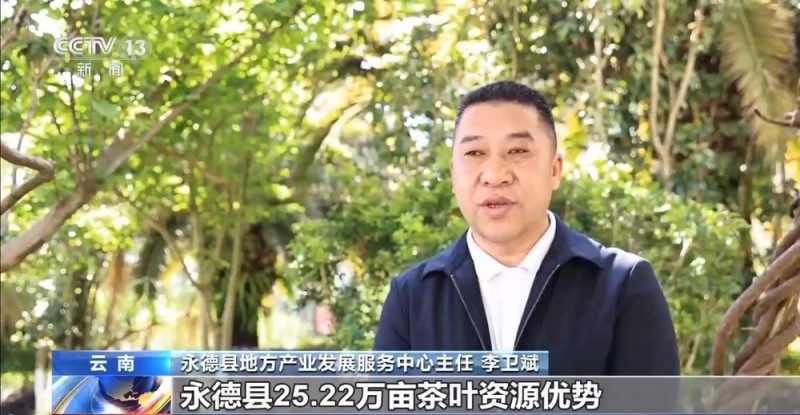 “左手咖啡右手茶” 两张产业名片助力云南经济腾飞