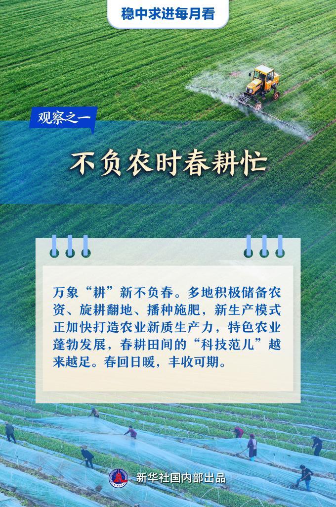 稳中求进每月看丨春潮涌动奋楫行――3月全国各地经济社会发展观察