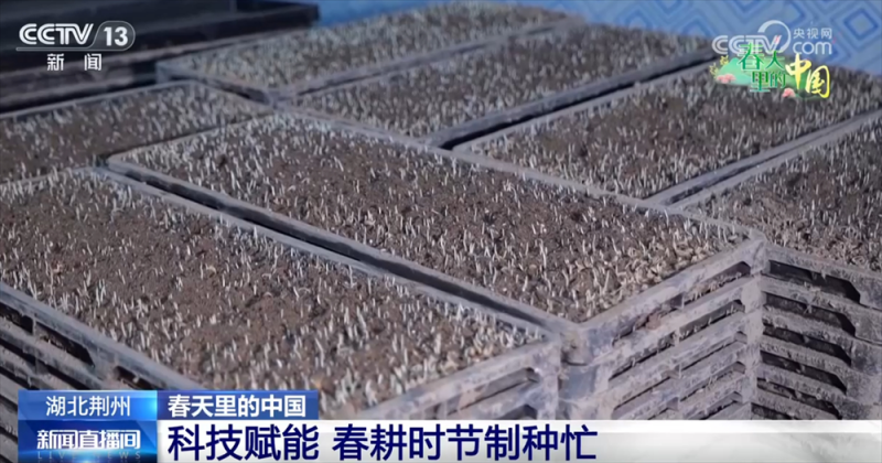 科技赋能为春耕按下“加速键” 春天里的中国孕育丰收希望