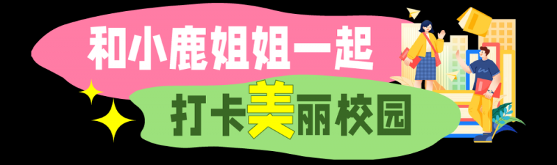 总台周末看点丨这样美，一起来！