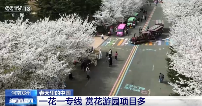 各地抓住“赏花流量”将其转化为“文旅消费增量” 农文旅市场掀热潮
