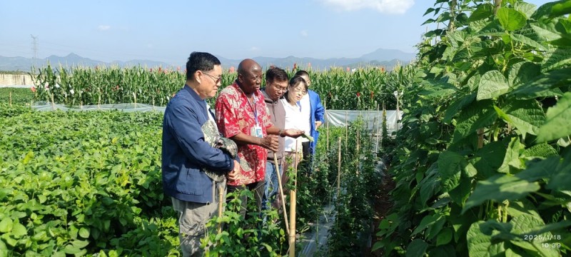 “洋人才”在南繁硅谷的“双向奔赴”
