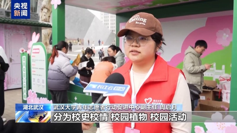 武大樱花季上线三条新线路  志愿者引导逛校园