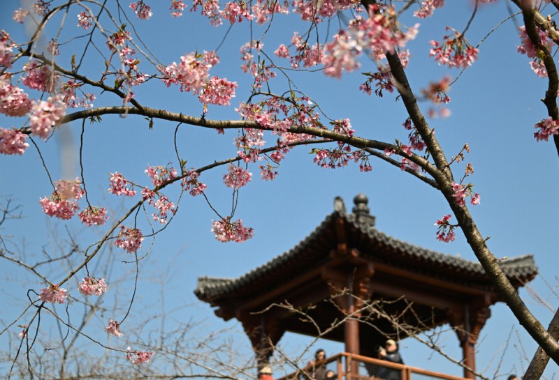 【中国那些事儿】China Travel热度不减！多项便利政策措施助力老外多彩中国行