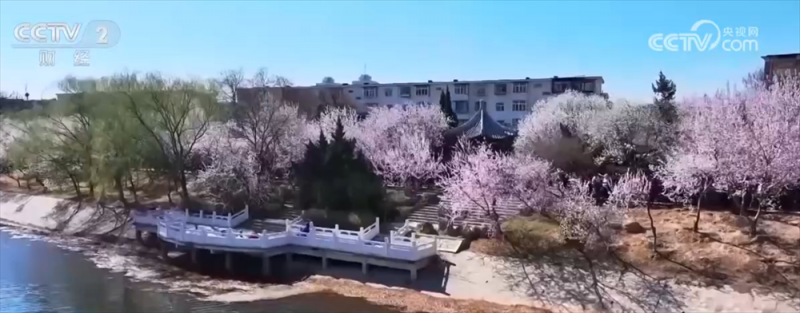 各地催热“赏花经济”新业态 绿色发展路径“以花兴业”焕发蓬勃生机