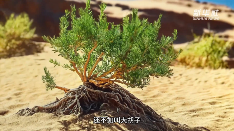 植树节创意动画｜只要脊梁不弯 荒漠也能长出春天