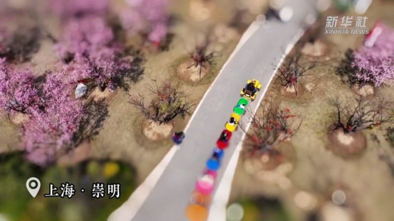 移轴带你看春天｜赏春花、趣春游，在山间田野赴一场春日之约！