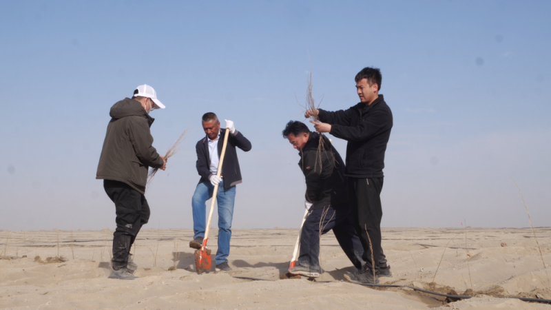 绿“锁”沙海育新机――新疆阿克苏地区创新治沙模式 走出绿富同兴的高质量发展之路