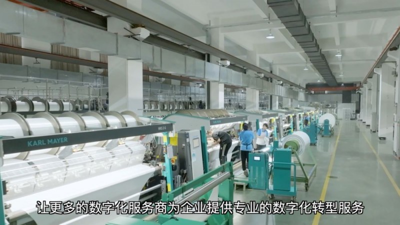 新华视点｜数智赋能 中小民营企业提“质”而上