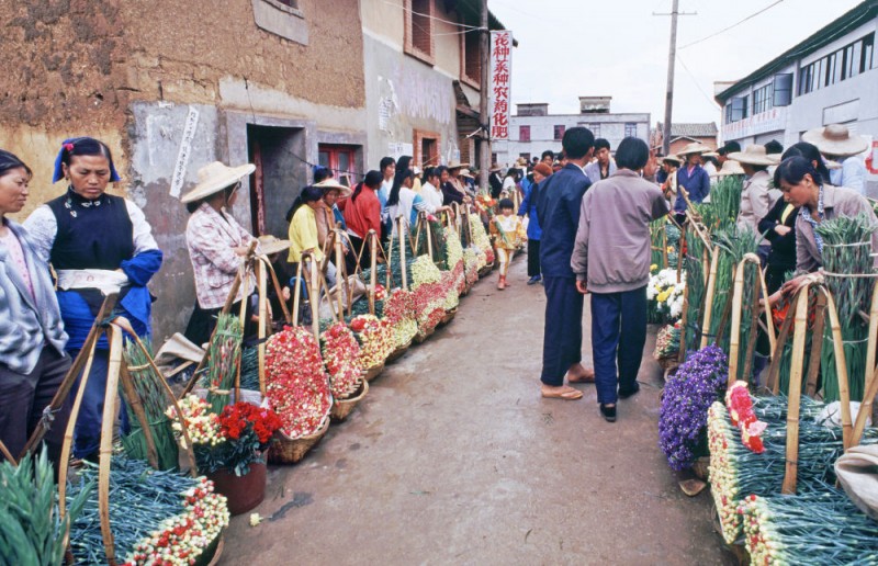 中国经济样本观察・“镇”了不起｜从花田花市到花都，鲜花“绽放”出双百亿“浪漫经济”