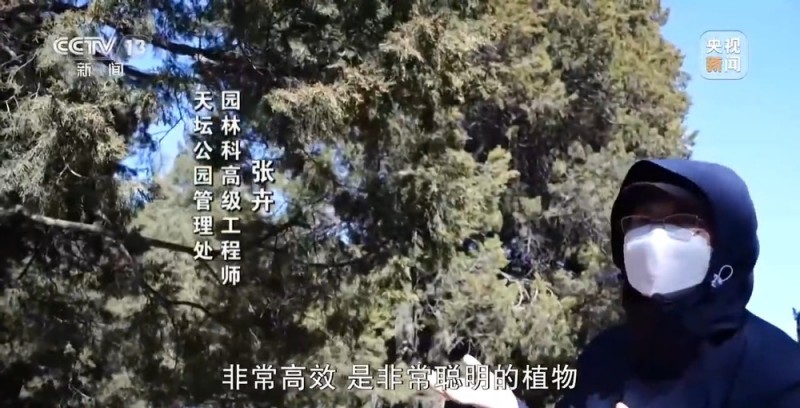 为拯救过敏星人 花粉“捕手”用上高科技武器