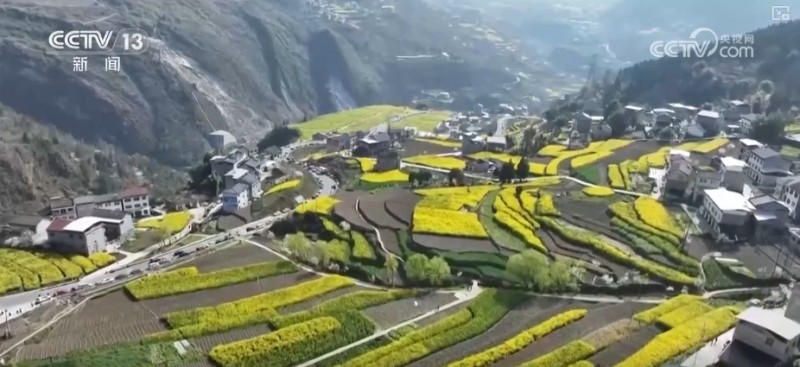 春赏花、夏榨油、秋收粮 “赏花+”扮“靓”经济新增长点