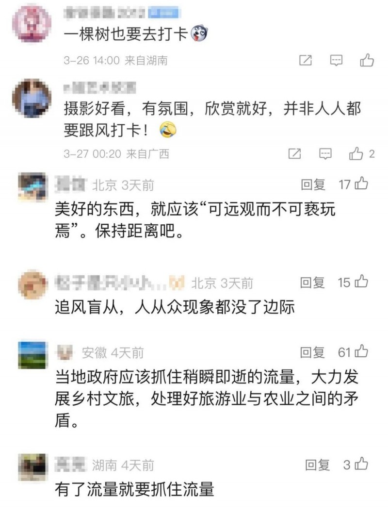 看丹观察丨感受“孤独的树”之美，也要有边界！