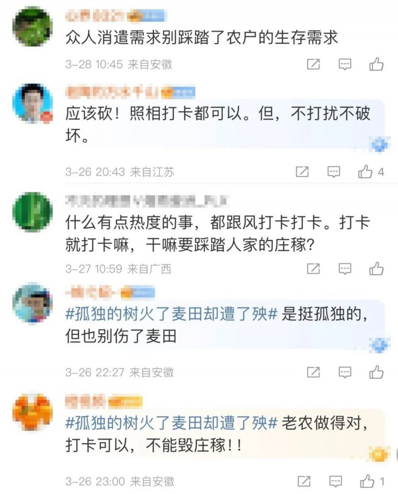 看丹观察丨感受“孤独的树”之美，也要有边界！