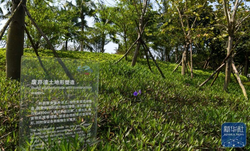 新华全媒+・博鳌亚洲论坛丨海南博鳌：为全球“零碳标准”提供“中国答案”