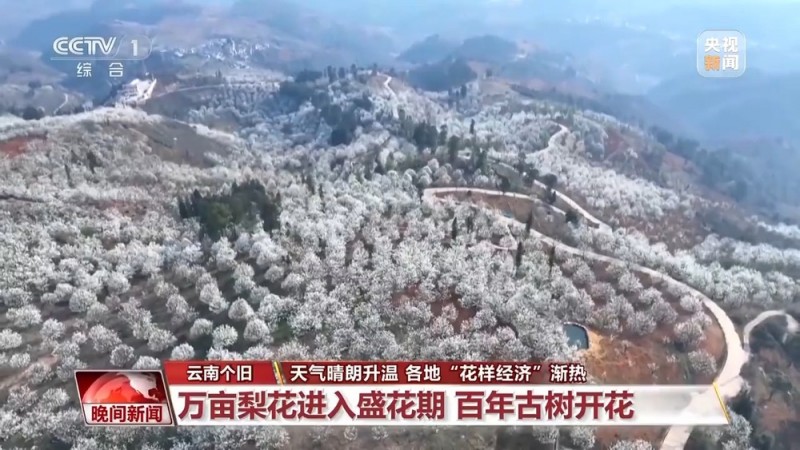 “花样经济”升温 带你“花式”解锁好春光