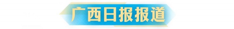 广西云联合访谈间丨携手共建共享！桂黔代表共话西部陆海新通道