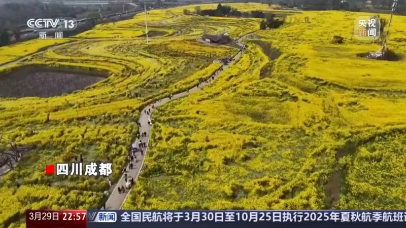 看丹观察丨感受“孤独的树”之美，也要有边界！