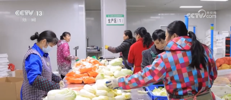 小蔬菜“闯出”大市场 内陆“菜园子”直通粤港澳大湾区“菜篮子”