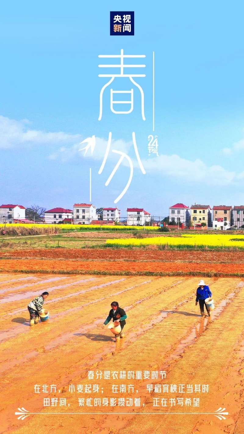 今日，春分