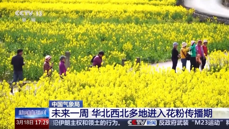 未来一周气温回暖 春暖花开也需防过敏