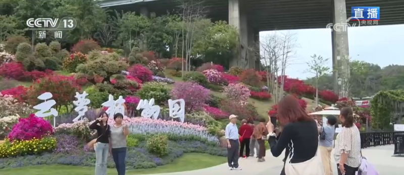 沉浸式感受春日花海独特魅力 “赏花经济”为乡村振兴“增香添彩”