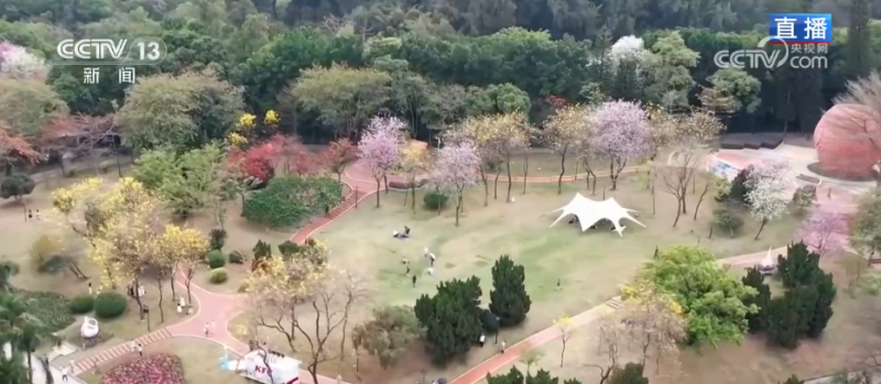 沉浸式感受春日花海独特魅力 “赏花经济”为乡村振兴“增香添彩”
