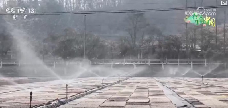 科技赋能春耕春管！智慧农业护航 筑牢粮食稳产根基