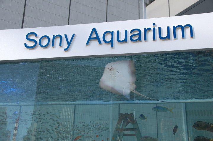 拆掉索尼大楼 8 年后，我们在东京看到了 Sony Park 的完全体