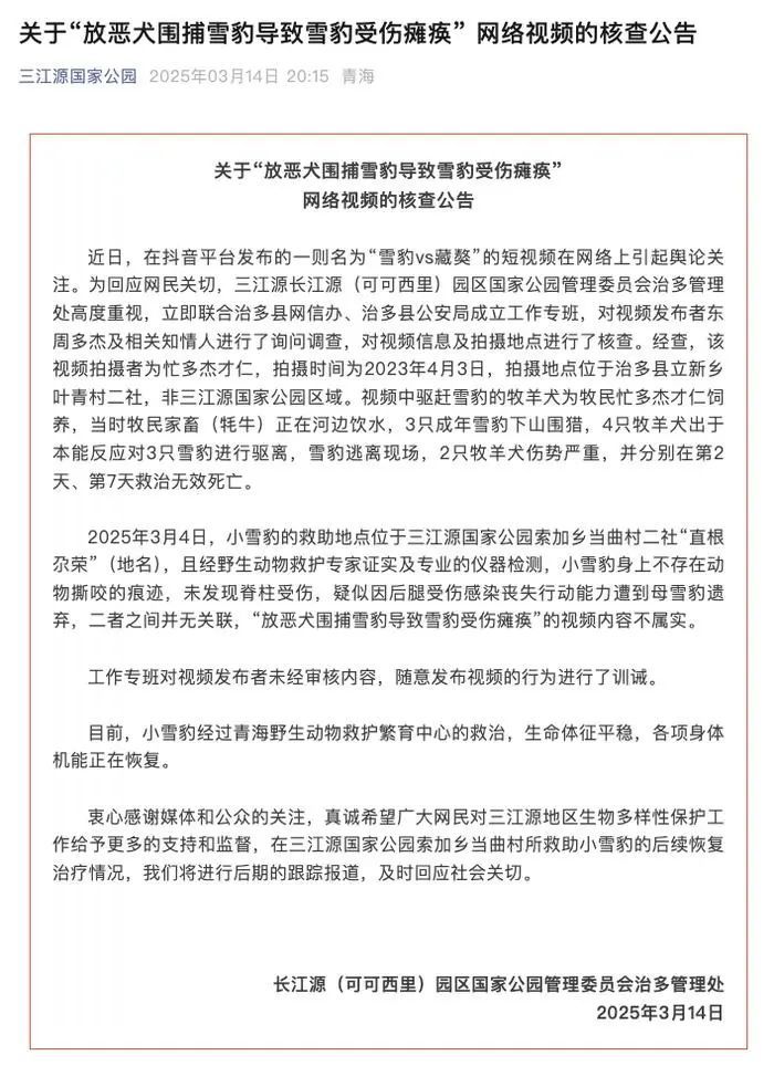 7点出发丨“放恶犬围捕雪豹导致雪豹受伤瘫痪”  ？假的！