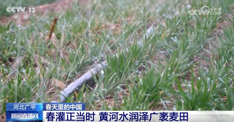 万象“耕”新不负春  希望的田野上农业现代化图景满满“科技范儿”