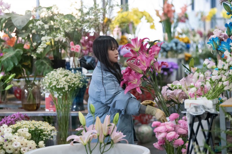 中国经济样本观察・“镇”了不起｜从花田花市到花都，鲜花“绽放”出双百亿“浪漫经济”