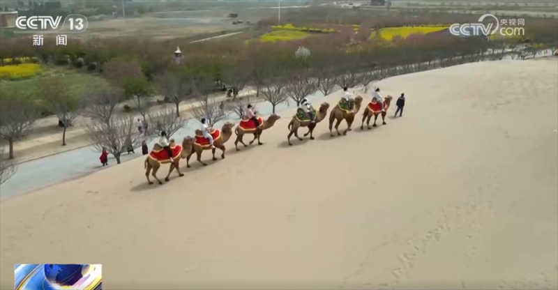各地抓住“赏花流量”将其转化为“文旅消费增量” 农文旅市场掀热潮