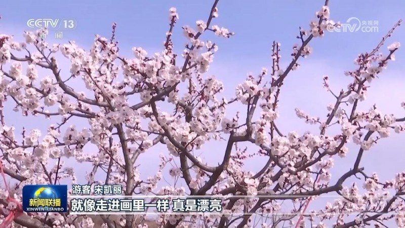 踏青赏花 乐享春日好时光