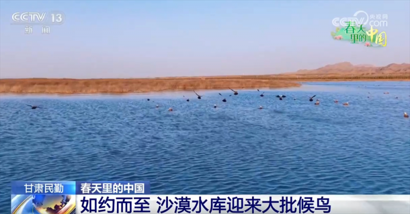 智“绘”春耕“新”图景 “赏花经济”为乡村振兴“景”上添“彩”