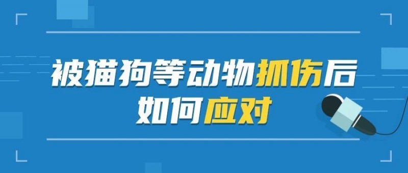 宠物打过疫苗≠你不会感染！被宠物抓伤后应该怎么办？
