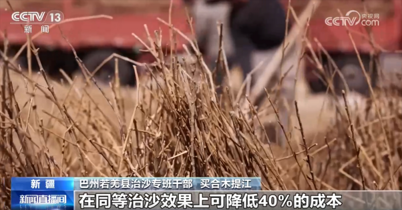 从“锁边”向“扩边”发展 创新治理模式为防沙治沙“植”此青绿