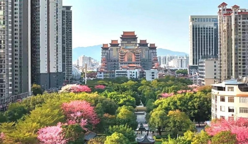春意渐浓，这条高铁沿线的宝藏城市“藏不住”了！