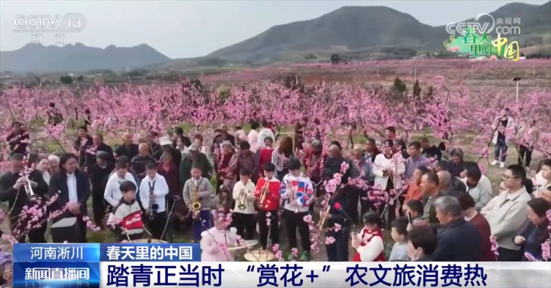 各地抓住“赏花流量”将其转化为“文旅消费增量” 农文旅市场掀热潮