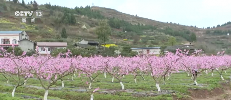 “春赏花、秋食果”沉浸式感受神州大地满园春色和澎湃活力