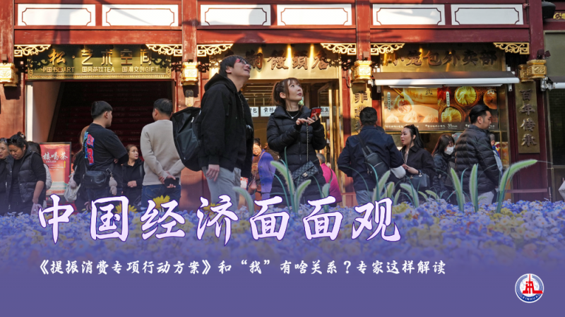 中国经济面面观丨《提振消费专项行动方案》和“我”有啥关系？专家这样解读
