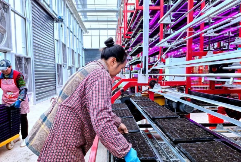 新华全媒+|田畴新景迎春光――西部地区春耕田间的“科技范儿”