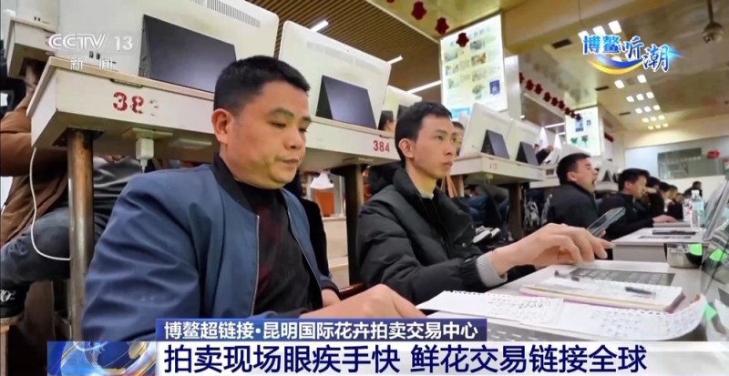 抢“鲜”生意手慢无 云南鲜花香飘世界