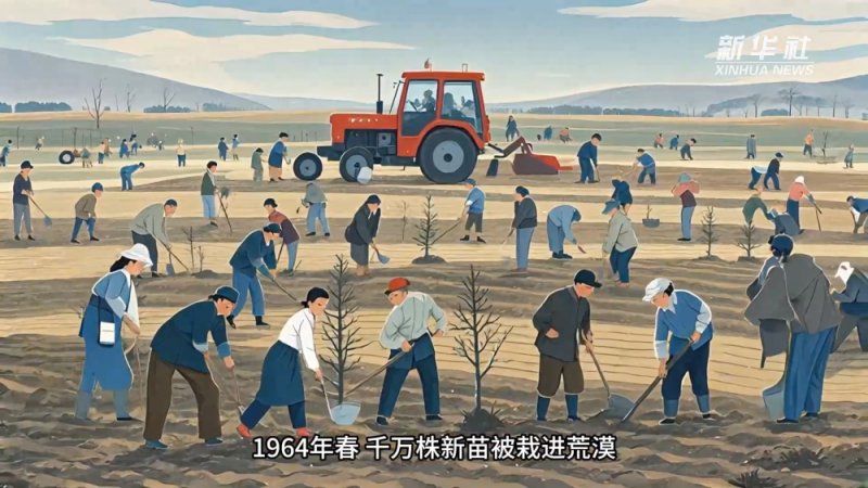 植树节创意动画｜只要脊梁不弯 荒漠也能长出春天