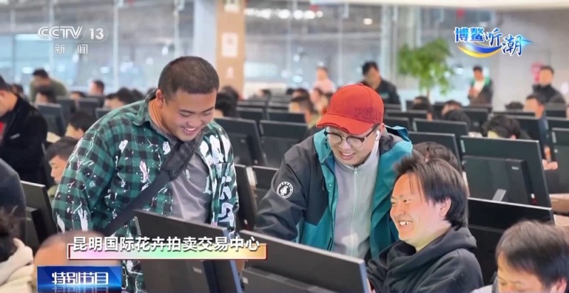 抢“鲜”生意手慢无 云南鲜花香飘世界